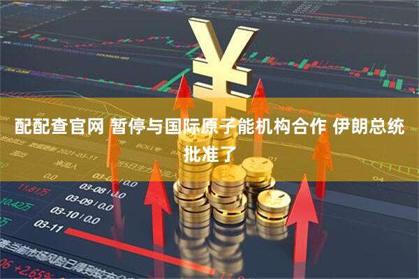 配配查官网 暂停与国际原子能机构合作 伊朗总统批准了